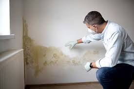 Best Crawl Space Mold Remediation  in Windsor, VA